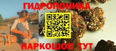 Альфа ПВП Обнинск