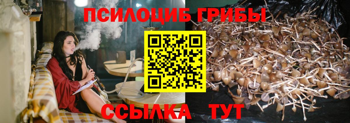 Галлюциногенные грибы MAGIC MUSHROOMS  Вход с VPN  Рыбинск 